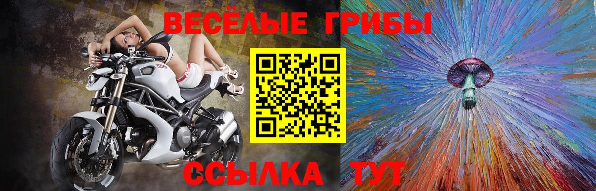 Махачкала  Галлюциногенные грибы GOLDEN TEACHER  Вход с VPN 